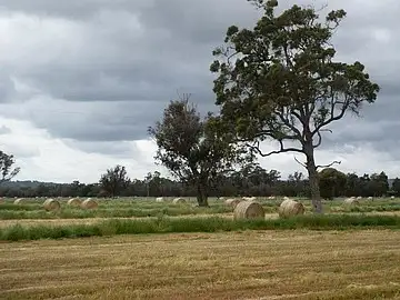 Sixth view of Homely rural property listing, Lot 6 Jackson Road, Uduc WA 6220