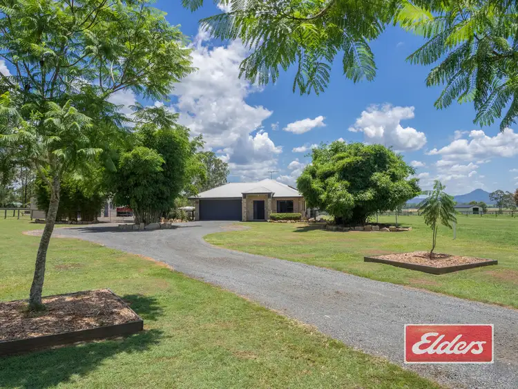 Third view of Homely house listing, 270 Cedar Grove Road, Cedar Grove QLD 4285