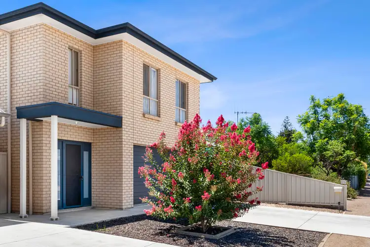 Second view of Homely house listing, 12 Thirteenth Street, Renmark SA 5341