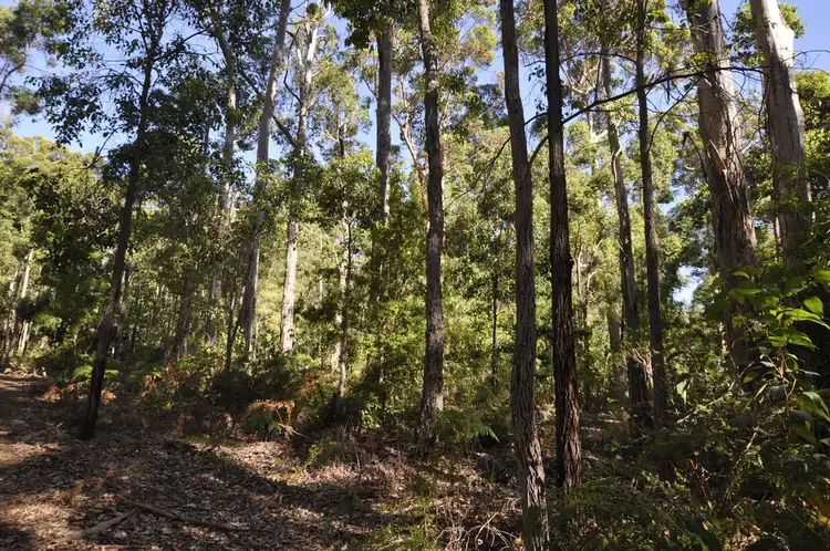 LOT 94 KARRI LANE, Quinninup WA 6258