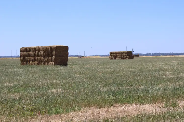 Sixth view of Homely rural property listing, 3 Moyhall Road, Moyhall SA 5271