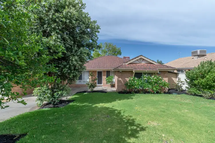 Main view of Homely house listing, 8 Letizia Court, Yangebup WA 6164