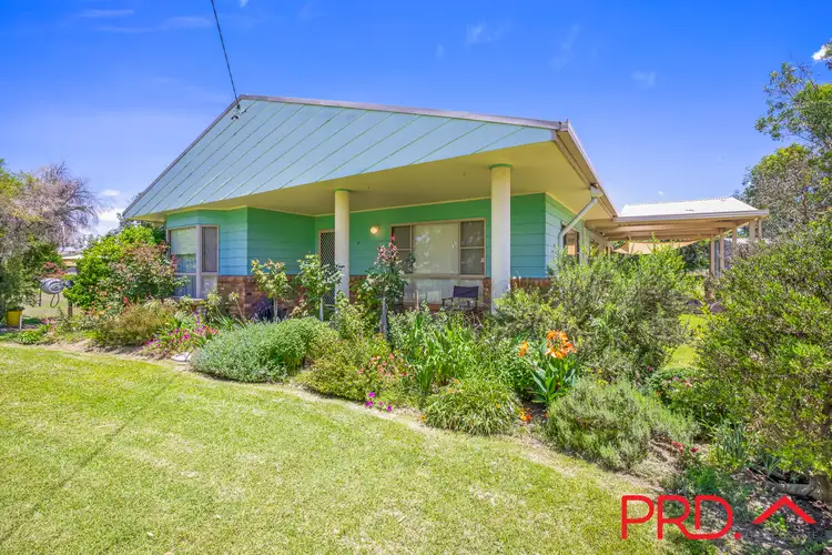 Main view of Homely house listing, 13 River Street, Moonbi NSW 2353