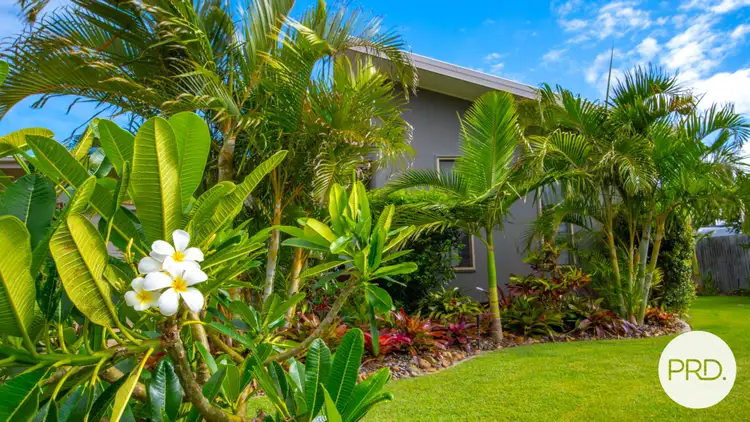 Sixth view of Homely house listing, 16 Dolphin Court, Agnes Water QLD 4677