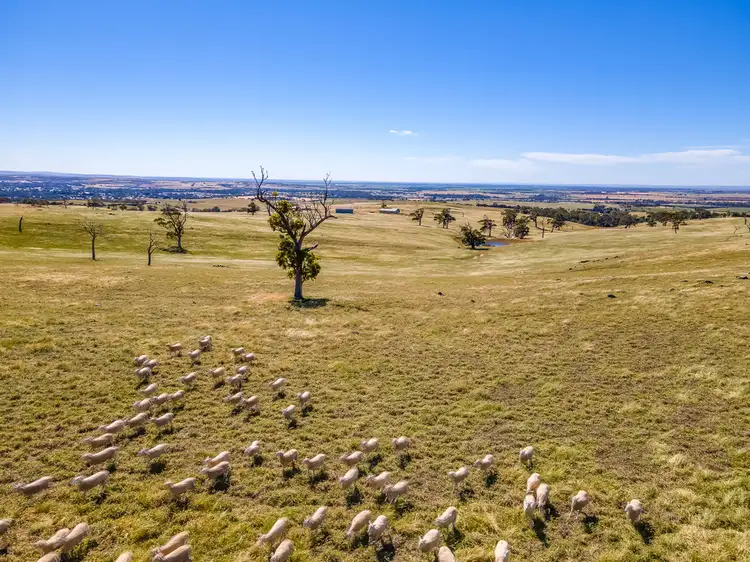 Fifth view of Homely rural property listing, 'Allandale' Ashbourne Road, Strathalbyn SA 5255