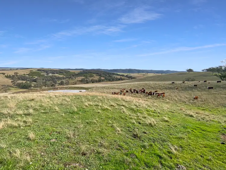 Fourth view of Homely rural property listing, Lot 3 Licola Road, Glenmaggie VIC 3858