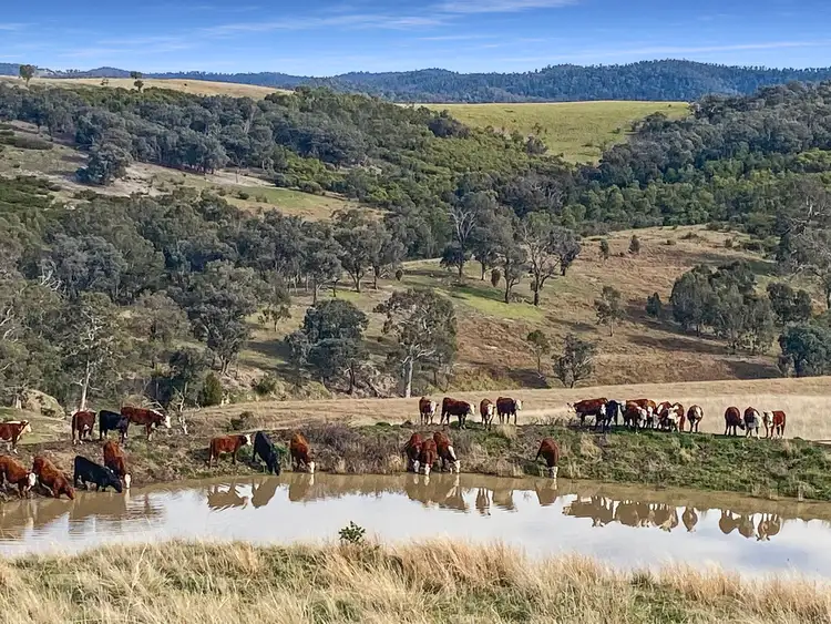 Fifth view of Homely rural property listing, Lot 3 Licola Road, Glenmaggie VIC 3858