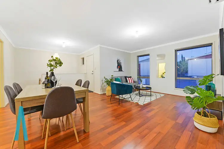 Sixth view of Homely house listing, 29 Grant Avenue, Gilles Plains SA 5086