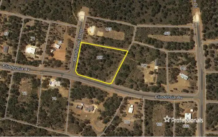 LOT 134, 127 Bandicoot Loop, Brigadoon WA 6069
