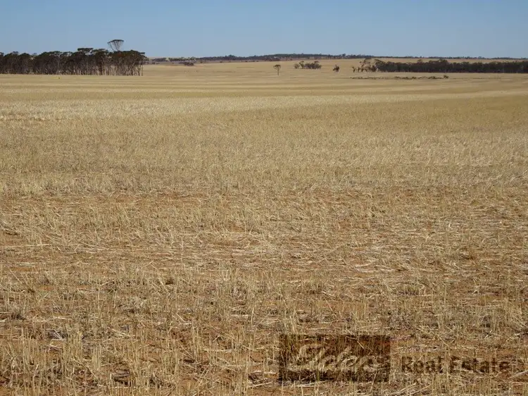 Main view of Homely rural property listing, Lots Kondinin - Hyden Road, Kondinin WA 6367