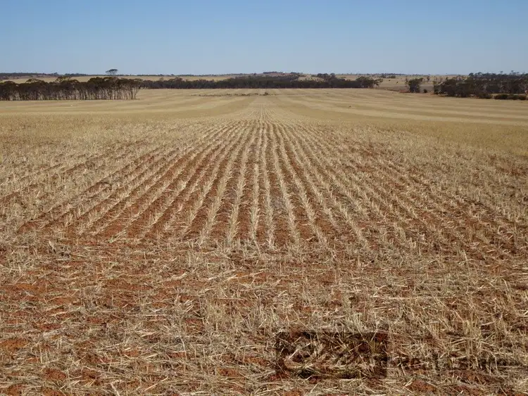 Second view of Homely rural property listing, Lots Kondinin - Hyden Road, Kondinin WA 6367