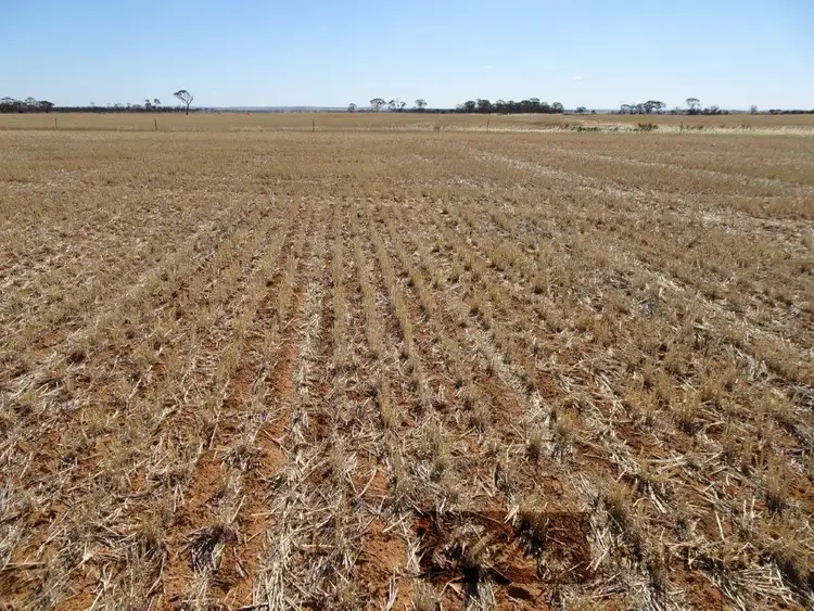 Fourth view of Homely rural property listing, Lots Kondinin - Hyden Road, Kondinin WA 6367