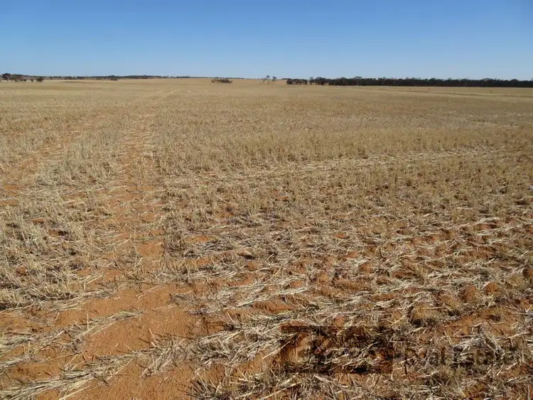 Fifth view of Homely rural property listing, Lots Kondinin - Hyden Road, Kondinin WA 6367