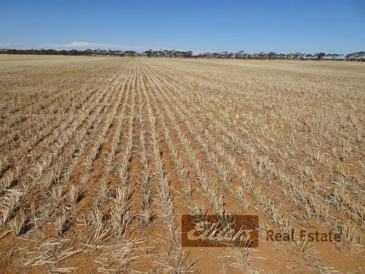 Sixth view of Homely rural property listing, Lots Kondinin - Hyden Road, Kondinin WA 6367