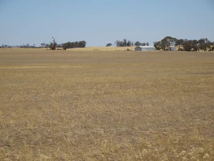 Main view of Homely rural property listing, Lots Fence Road West, Kulin WA 6365