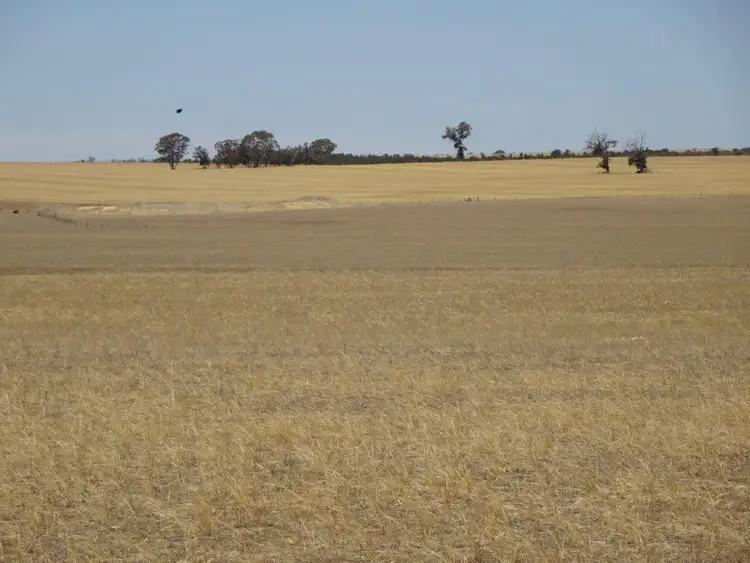 Second view of Homely rural property listing, Lots Fence Road West, Kulin WA 6365
