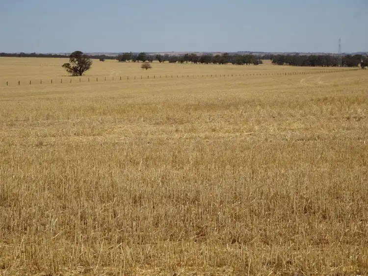 Fifth view of Homely rural property listing, Lots Fence Road West, Kulin WA 6365