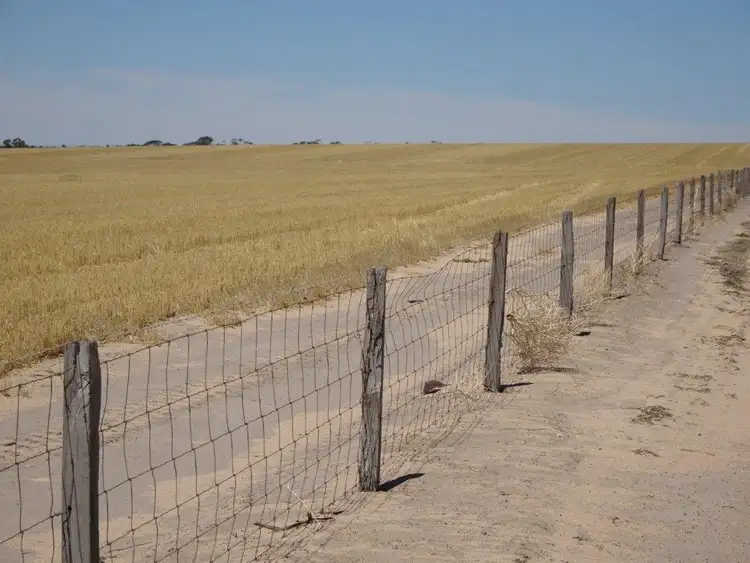 Sixth view of Homely rural property listing, Lots Fence Road West, Kulin WA 6365