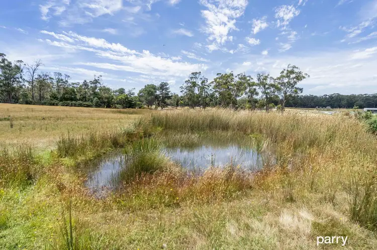 Fifth view of Homely land listing, 10 Gibbs Street, Beaconsfield TAS 7270