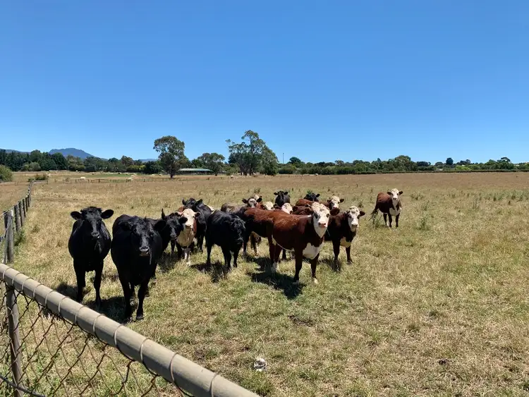 Sixth view of Homely house listing, 2829 Meander Valley Road, Westbury TAS 7303