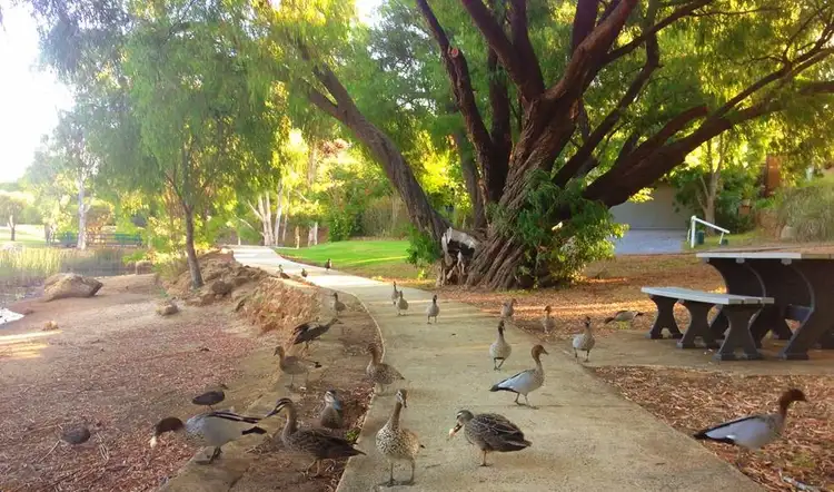 Sixth view of Homely land listing, 6 Morelia Parade, Margaret River WA 6285