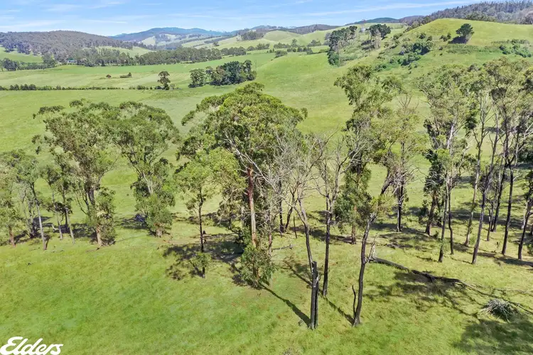 Main view of Homely rural property listing, . Yarram-Morwell Road, Staceys Bridge VIC 3971