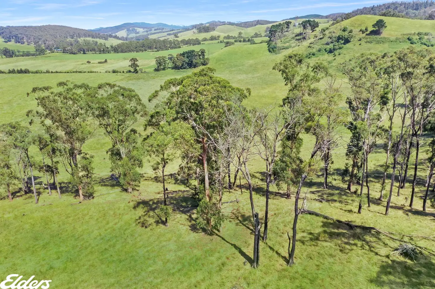 Main view of Homely rural property listing, . Yarram-Morwell Road, Staceys Bridge VIC 3971