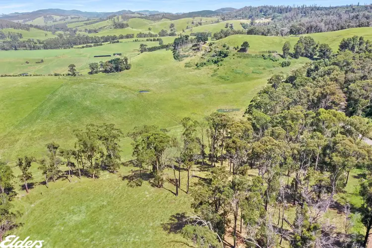 Third view of Homely rural property listing, . Yarram-Morwell Road, Staceys Bridge VIC 3971