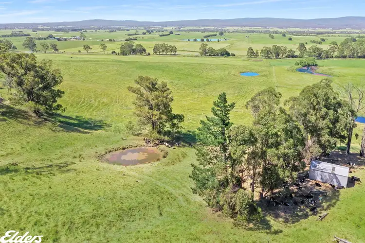 Fourth view of Homely rural property listing, . Yarram-Morwell Road, Staceys Bridge VIC 3971