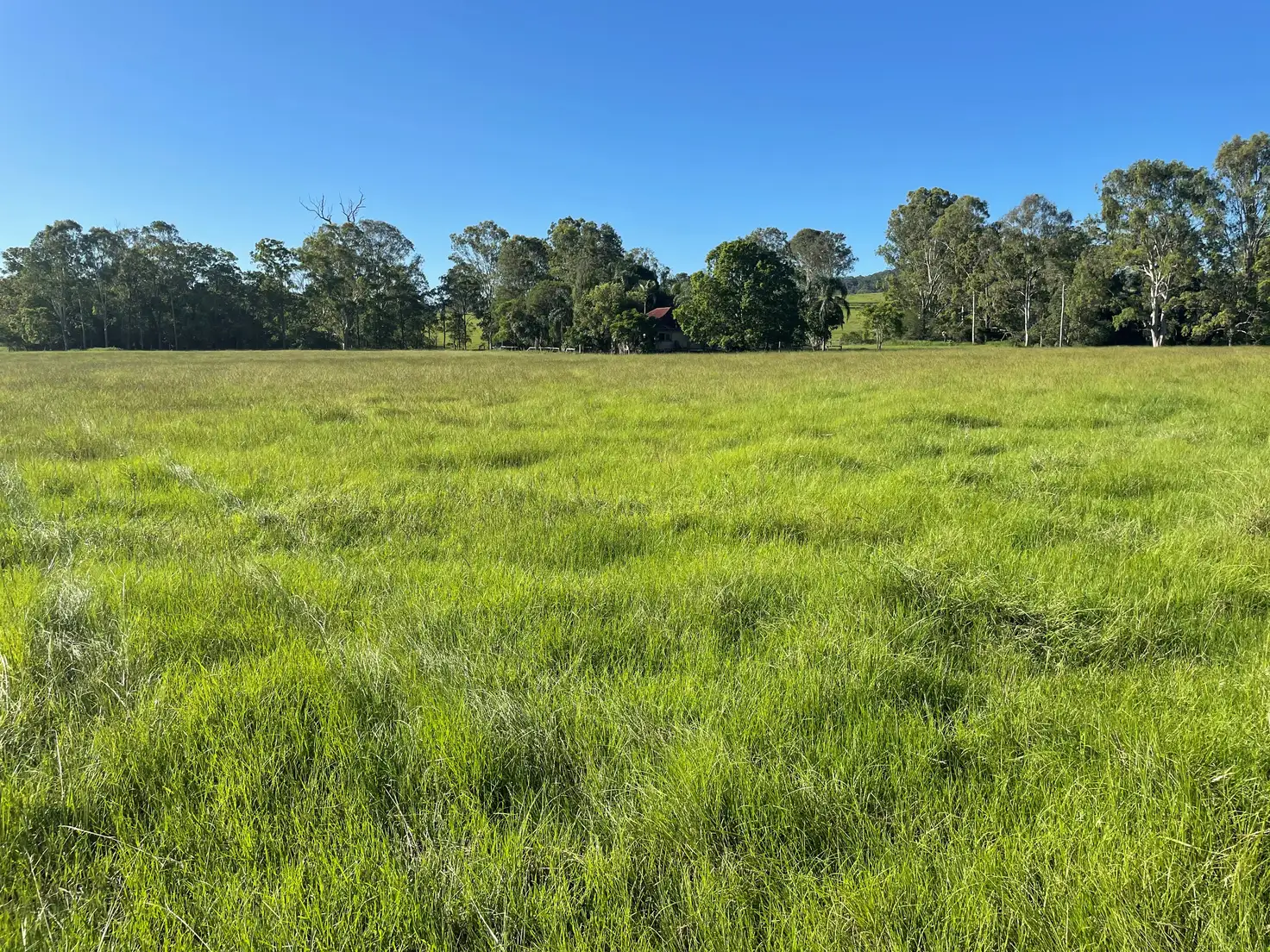 Main view of Homely house listing, Lot 2, 213 Shadbolt Road, Mothar Mountain QLD 4570