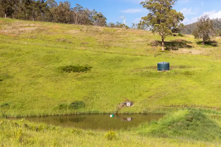 Sixth view of Homely rural property listing, 912 Black Flat Lane, Wherrol Flat NSW 2429