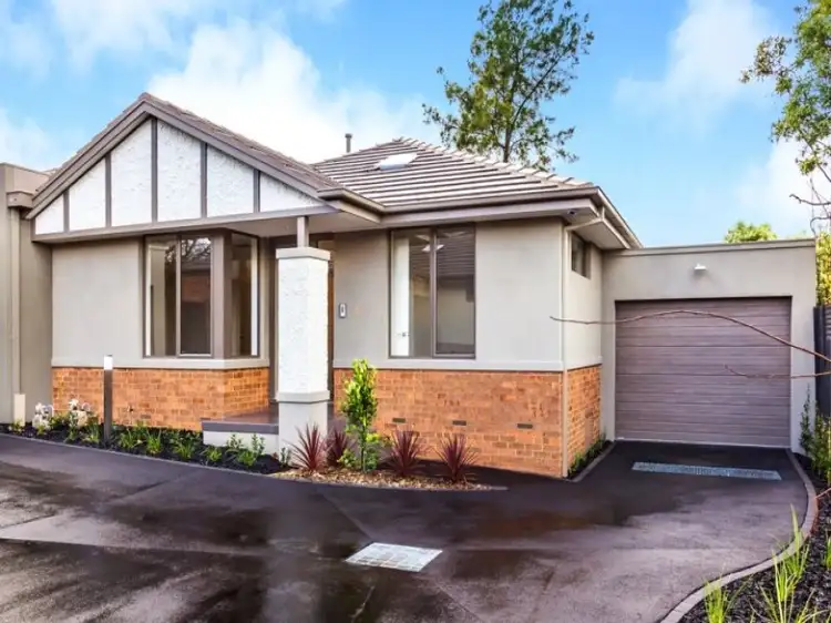 6/10 Camelia Street
