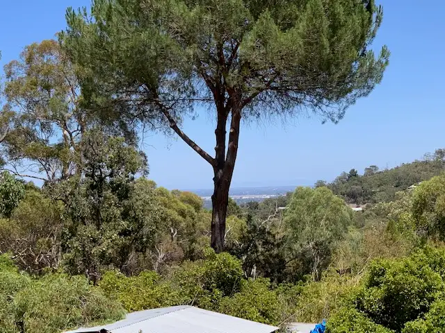 Main view of Homely land listing, 20 Lawson Way, Darlington WA 6070