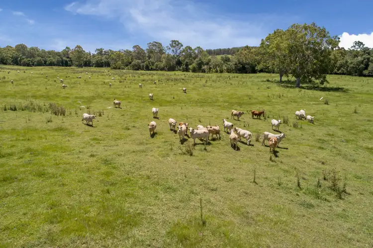 Second view of Homely land listing, LOT Lot 1, 213 Shadbolt Road, Mothar Mountain QLD 4570