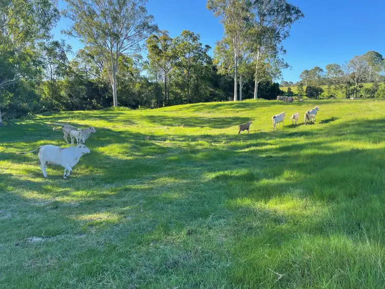 Fifth view of Homely land listing, LOT Lot 1, 213 Shadbolt Road, Mothar Mountain QLD 4570