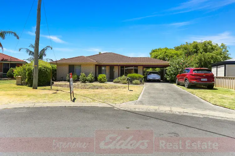 Main view of Homely house listing, 8 Ibis Court, Capel WA 6271