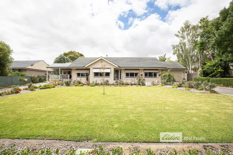51 JENKINS TERRACE, Naracoorte SA 5271