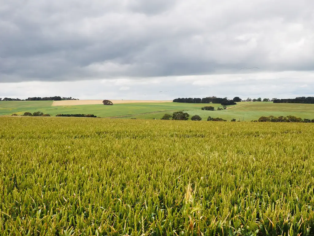 Main view of Homely rural property listing, - Narrapumelap Road, Wickliffe VIC 3379