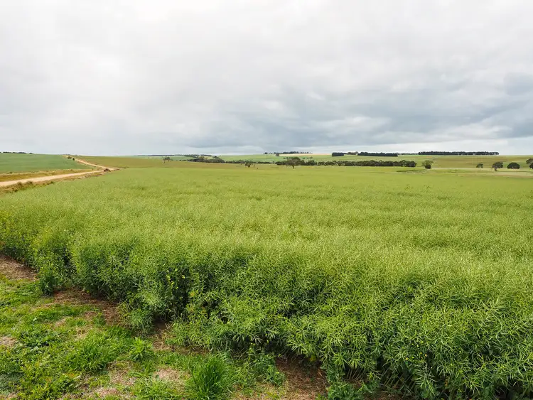 Third view of Homely rural property listing, - Narrapumelap Road, Wickliffe VIC 3379