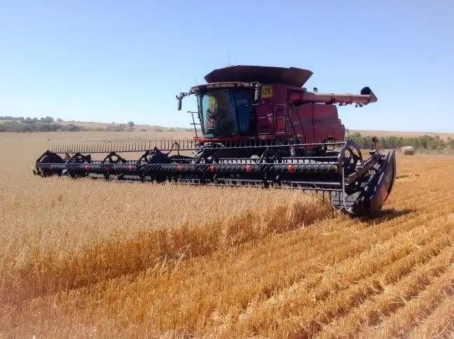 Seventh view of Homely rural property listing, - Narrapumelap Road, Wickliffe VIC 3379