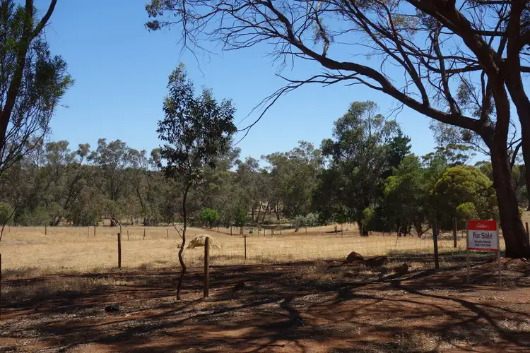 Second view of Homely house listing, 60 Palmer Street, Narrogin WA 6312