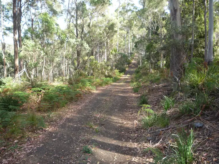 Fifth view of Homely house listing, 30 Lorikeet Lane, Rosevale TAS 7292