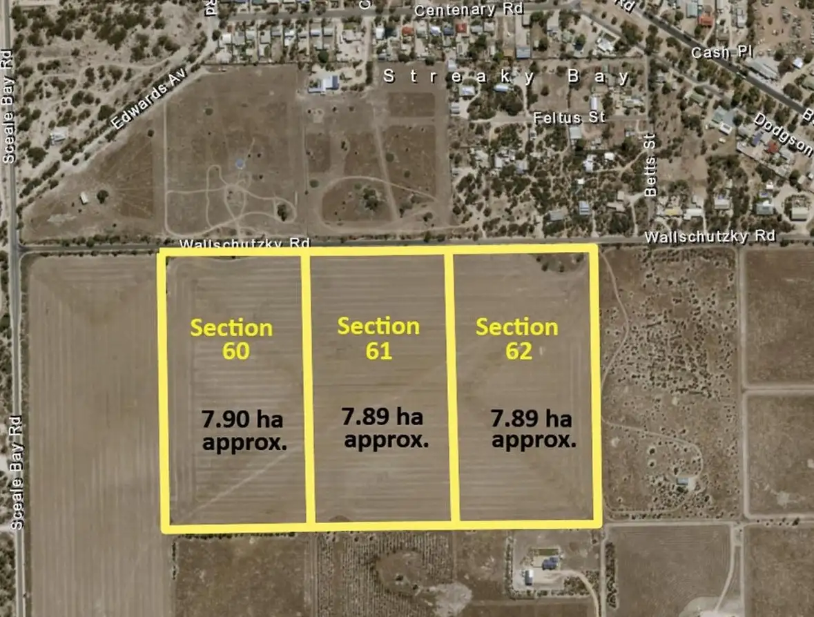 Main view of Homely rural property listing, 61 Wallschutzky Road, Streaky Bay SA 5680