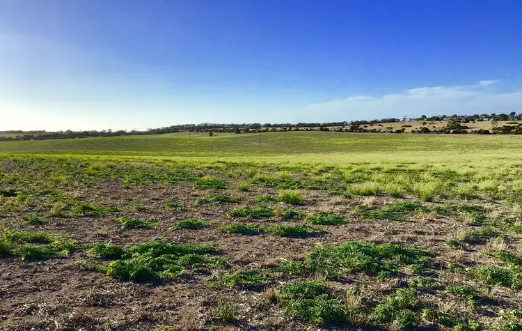 Second view of Homely rural property listing, 61 Wallschutzky Road, Streaky Bay SA 5680