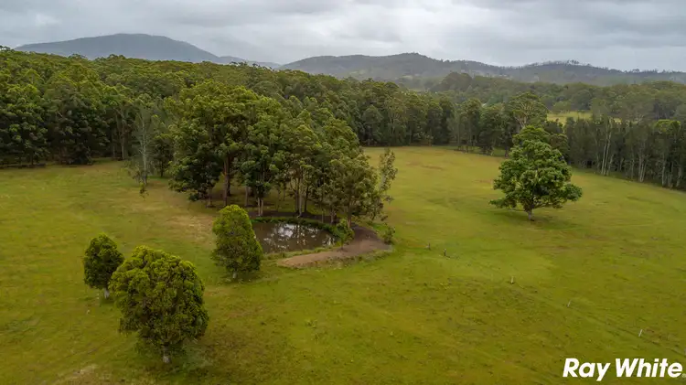 Third view of Homely rural property listing, 453 Failford Road, Failford NSW 2430