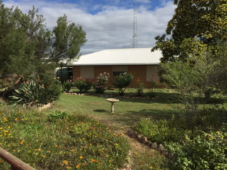 Main view of Homely house listing, 43 - 47 Reed Street, Murrayville VIC 3512
