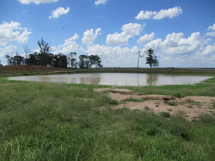 Fourth view of Homely rural property listing, 1265 ACRES BRIGALOW COUNTRY, Tara QLD 4421