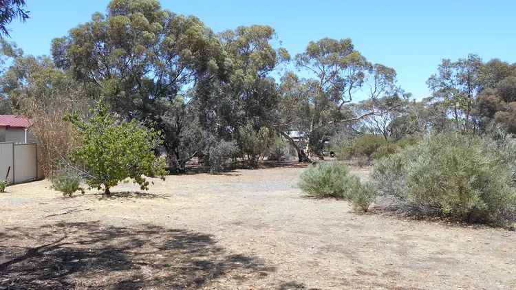 Main view of Homely land listing, 24 Forrest Street, Wagin WA 6315
