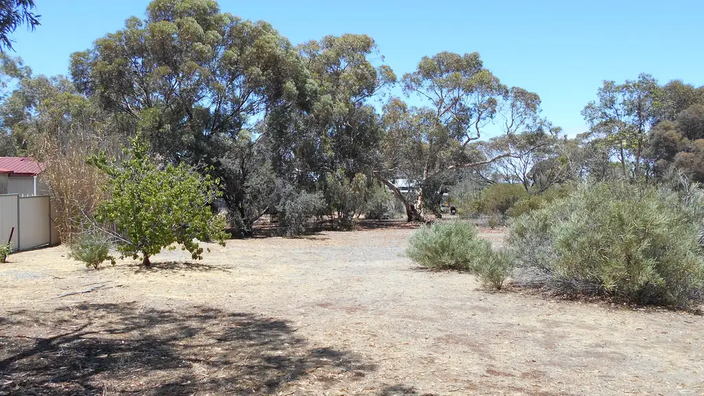 Main view of Homely land listing, 24 Forrest Street, Wagin WA 6315
