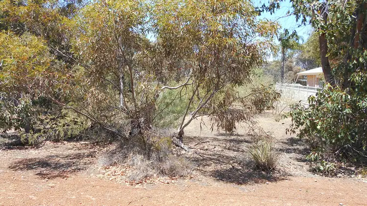 Third view of Homely land listing, 24 Forrest Street, Wagin WA 6315